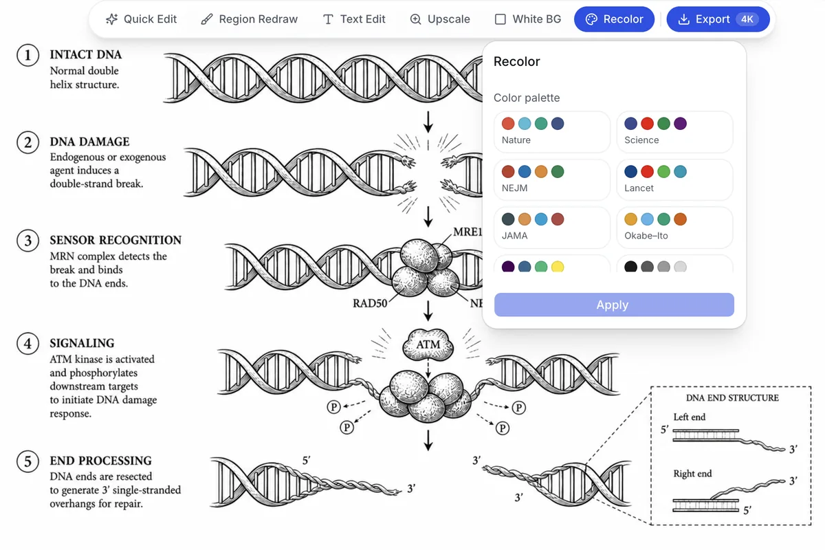 A line-art DNA double-strand break figure with the recolor panel open, showing Nature, Science, NEJM, Lancet, JAMA and Okabe-Ito palettes